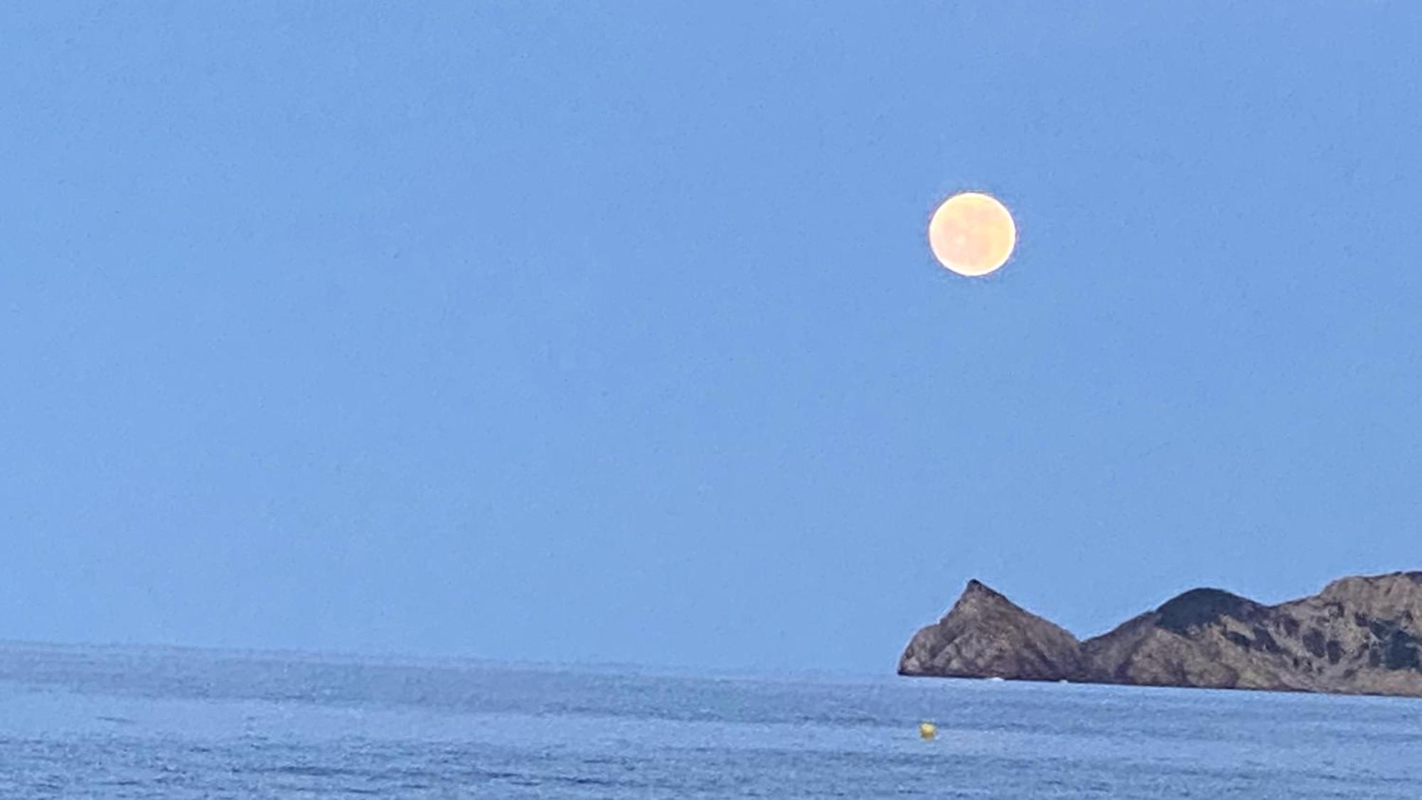 La Casa Del Port Leilighet Jávea Eksteriør bilde