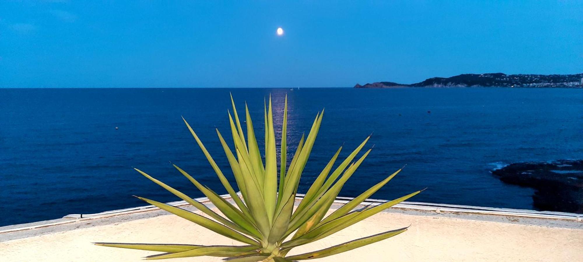 La Casa Del Port Leilighet Jávea Eksteriør bilde
